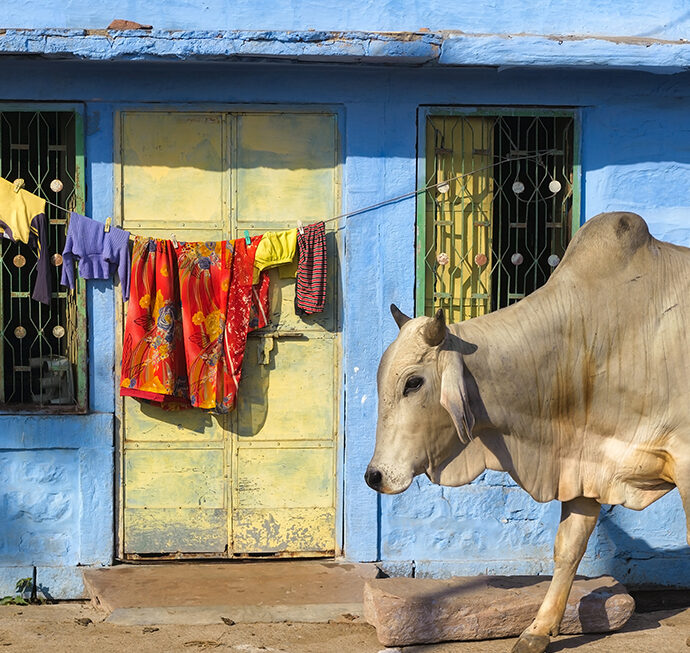 松本莉緒・吉田香代子と行く「インド政府公認・ロナワラのヨーガ大学体験の旅」